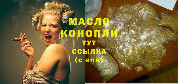 индика Беломорск