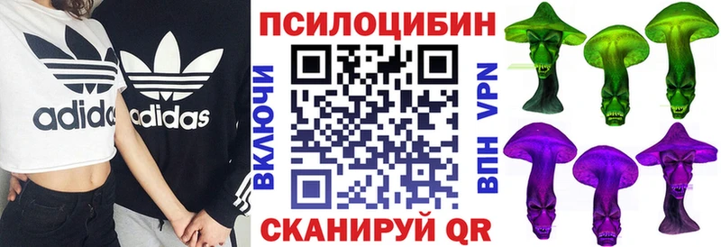 Псилоцибиновые грибы Cubensis  цены   Альметьевск 